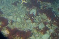
DSC00064